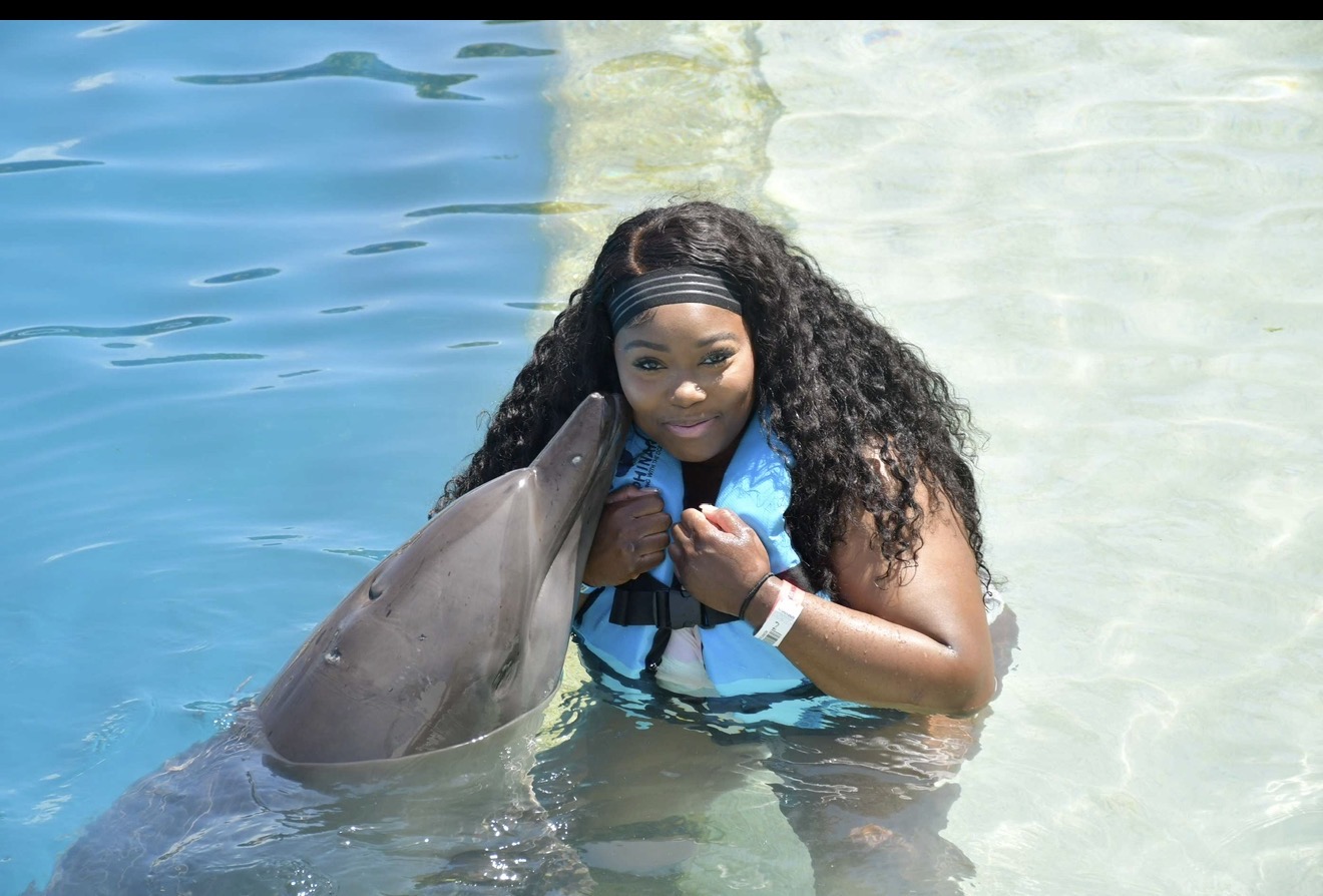A dolphin encounter in Cancún.